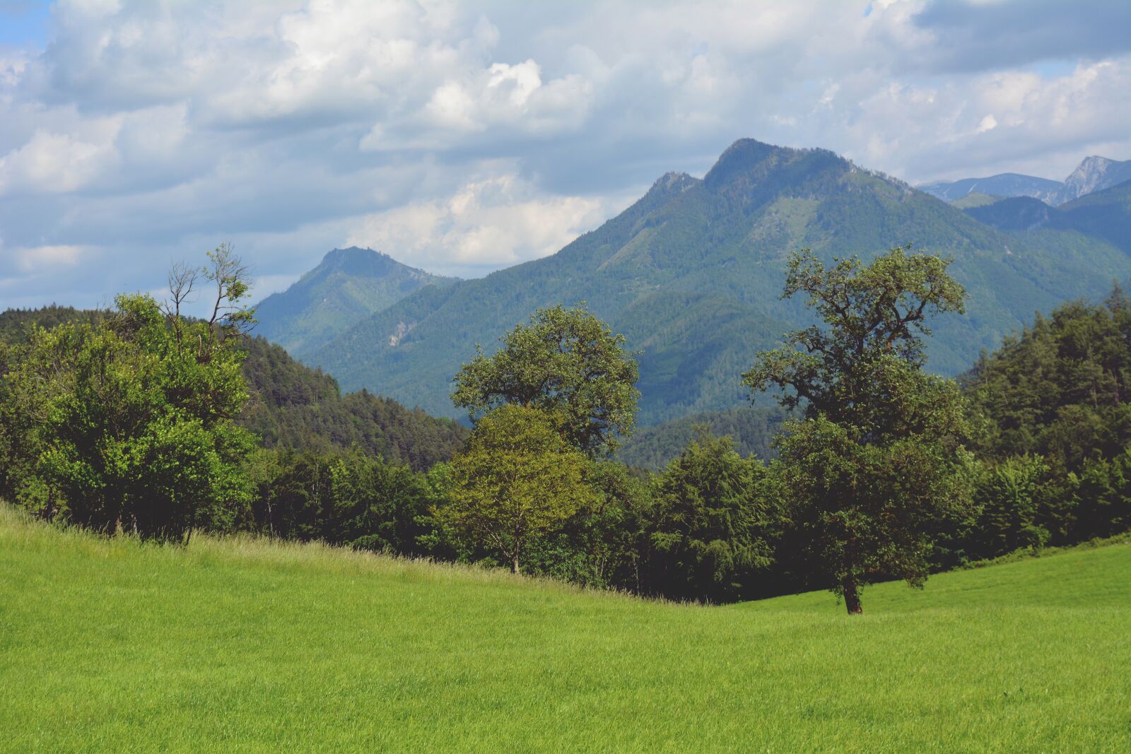 Nikon D5200 sample photo. Meadow, mountains, nature photography