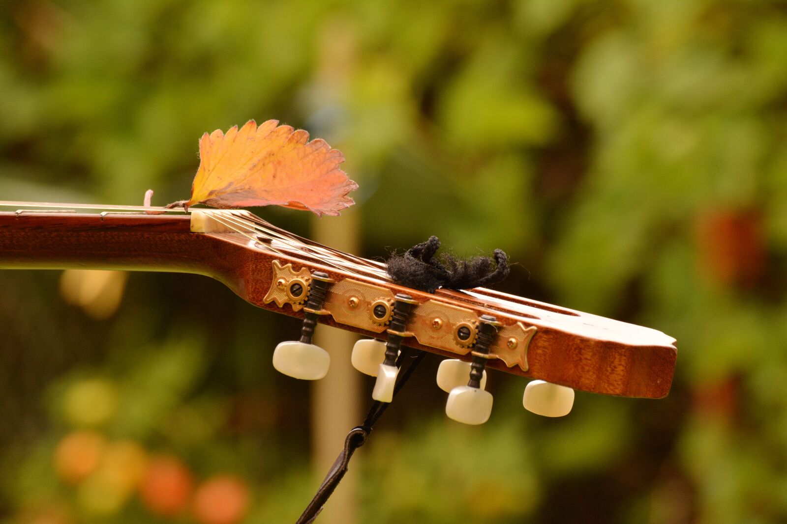 Nikon D5200 sample photo. Guitar, guitar neck, musical photography