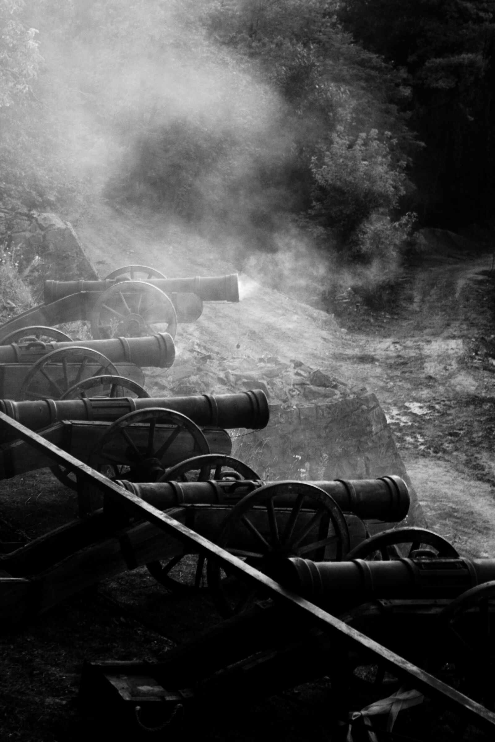 Nikon D3100 sample photo. Battle, black, and, white photography
