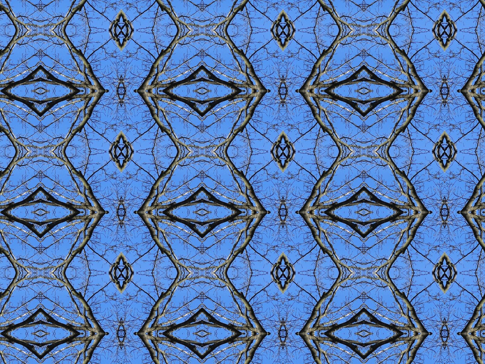 Sony DSC-HX200V sample photo. Texture, graphic, pattern photography