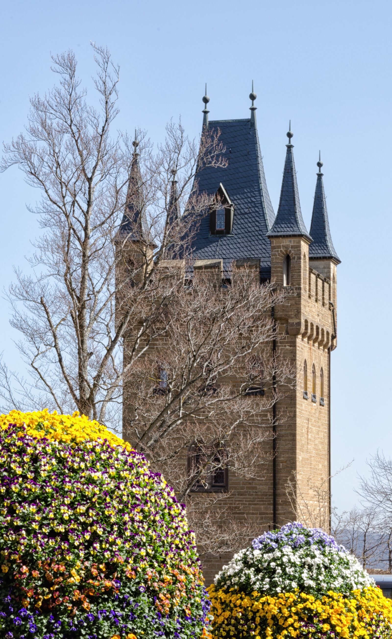 Nikon D5100 sample photo. Architecture, old, building photography