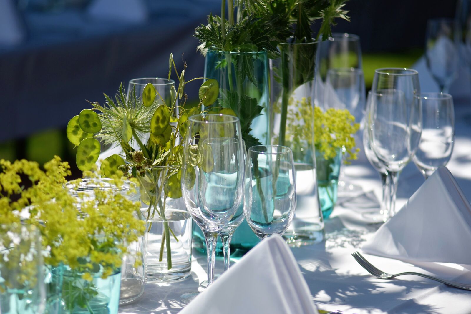 Nikon D5500 sample photo. Party, garden party, garden photography