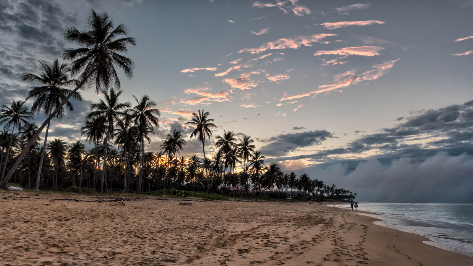 Panasonic Lumix DMC-LX7 sample photo. Palm, trees, beside, beach photography
