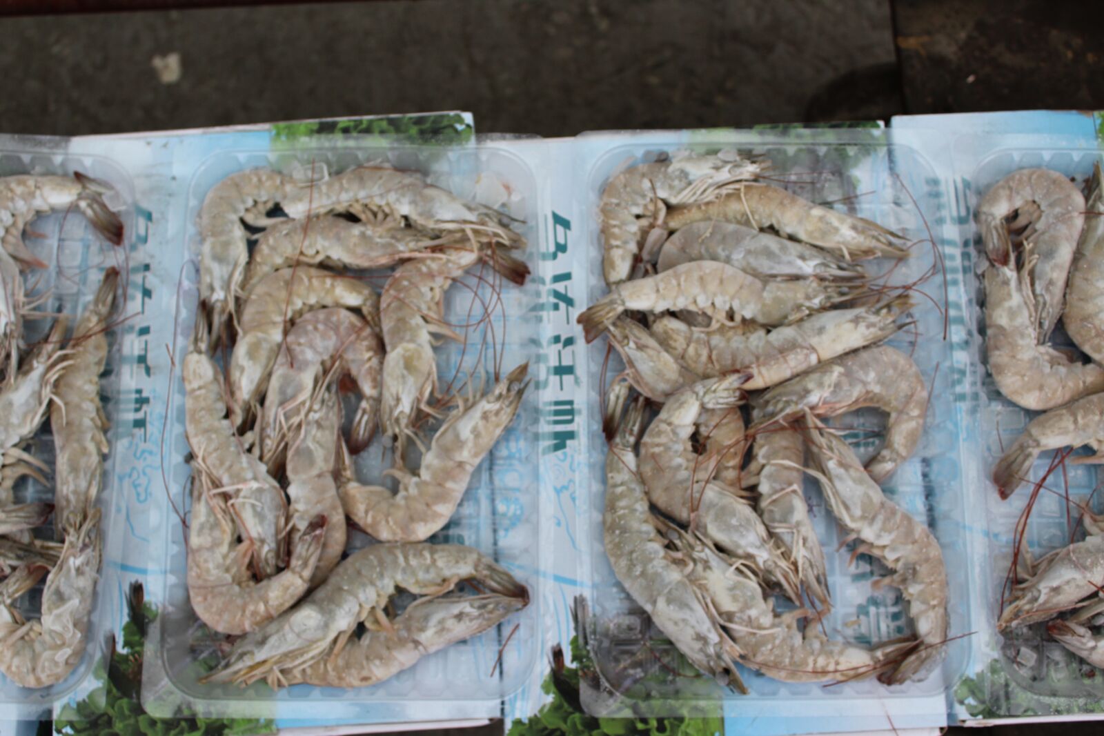 Canon EOS 1300D (EOS Rebel T6 / EOS Kiss X80) sample photo. Shrimp, prawns, frozen shrimp photography