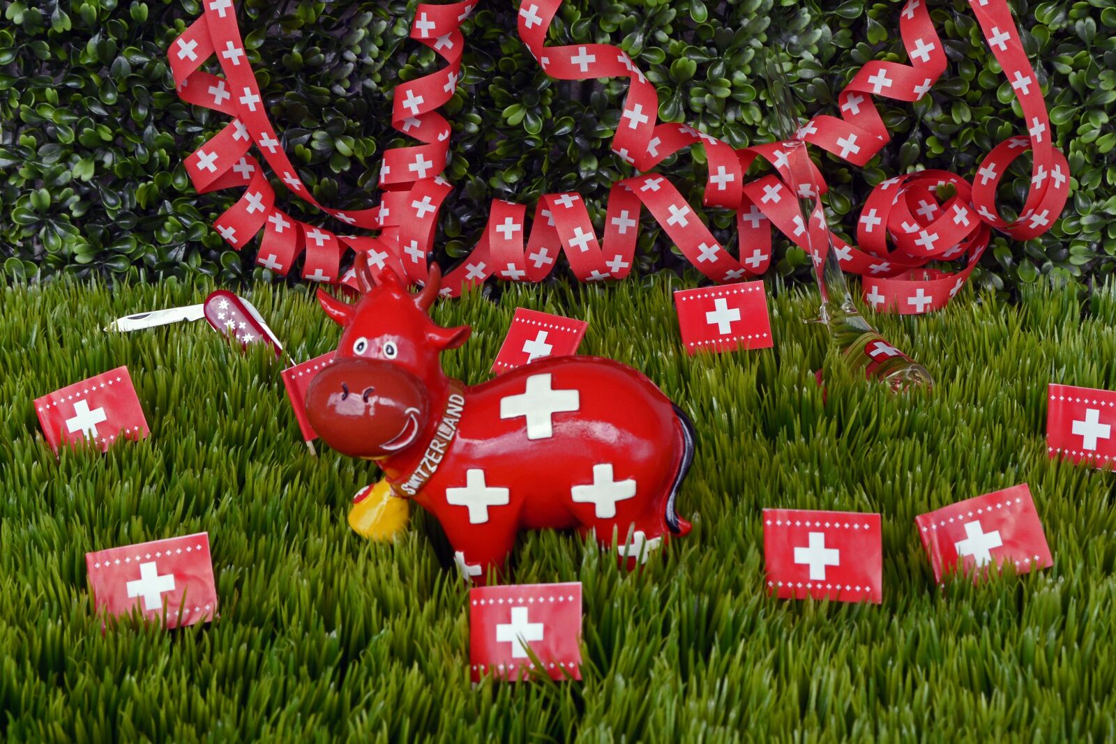 Nikon D7100 sample photo. National day, switzerland, celebrate photography