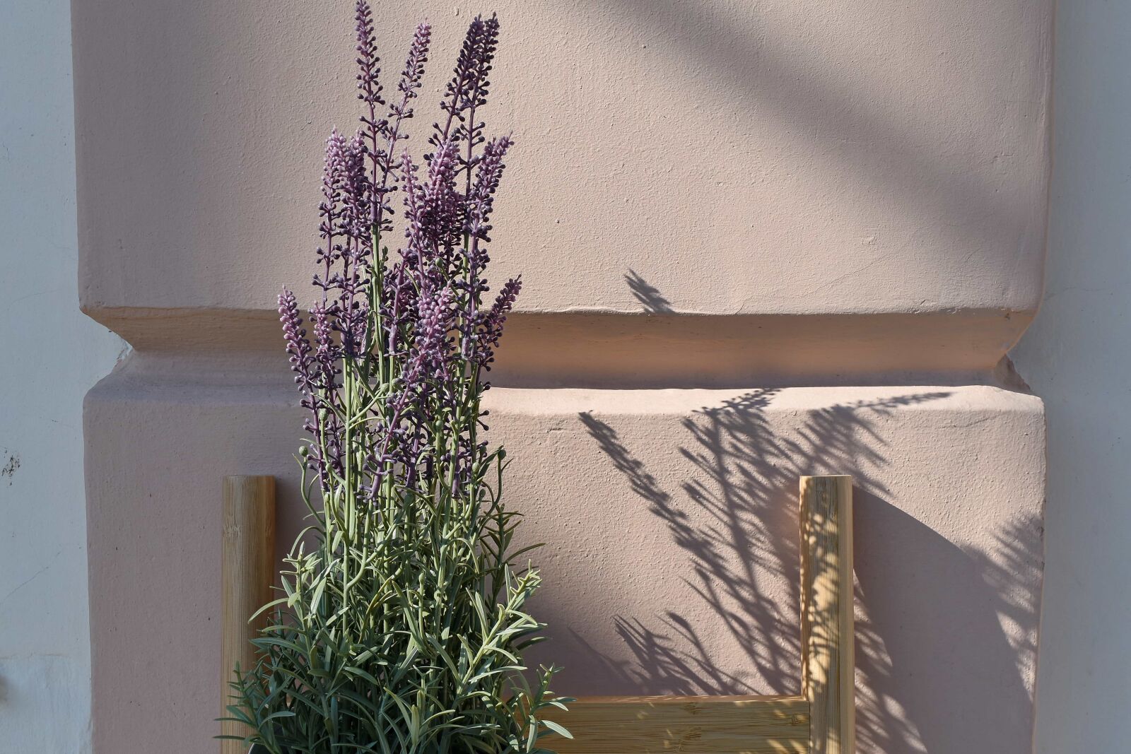 Nikon D5500 sample photo. Decoration, flowerpot, ladder, flower photography