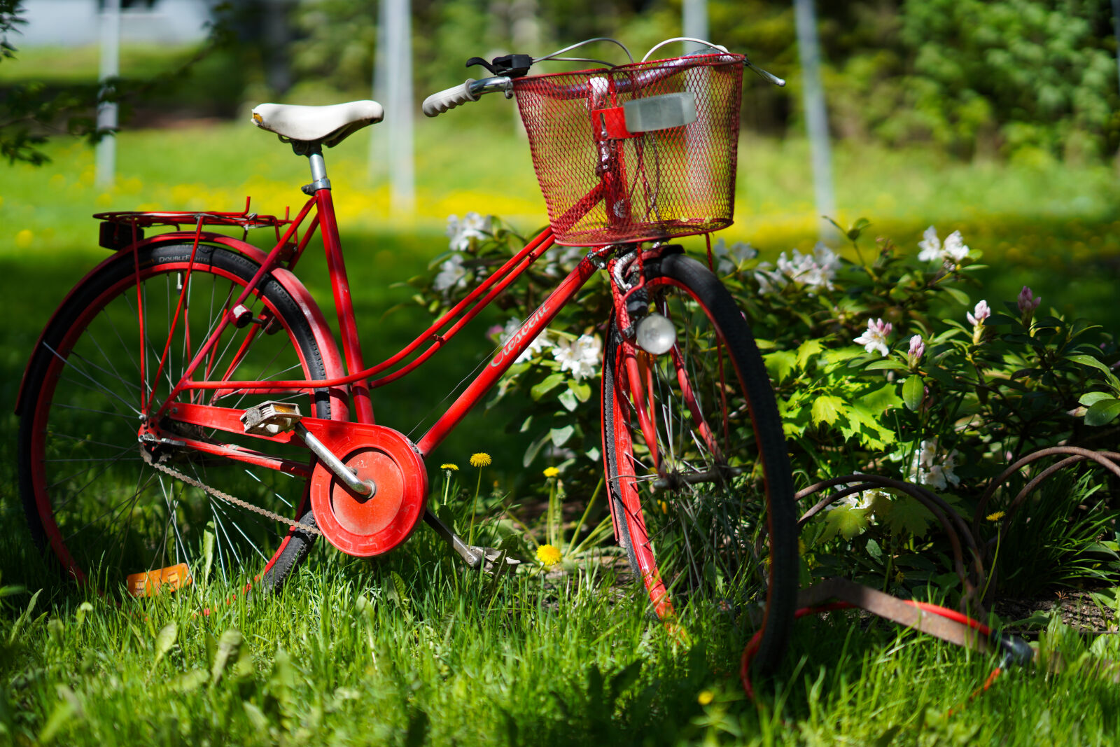 Sony a7R IV + Sony FE 85mm F1.4 GM sample photo. Bicycle in the yard photography