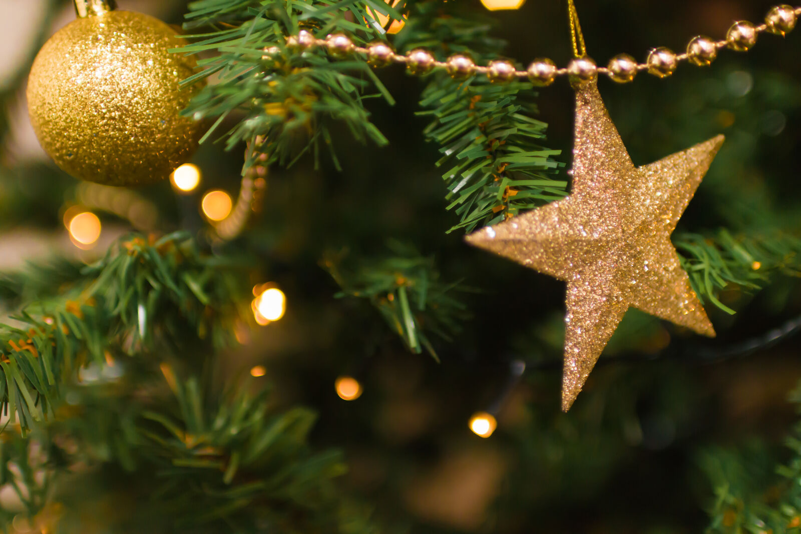 Sigma 30mm F1.4 EX DC HSM sample photo. Blur, branch, celebration, christmas photography