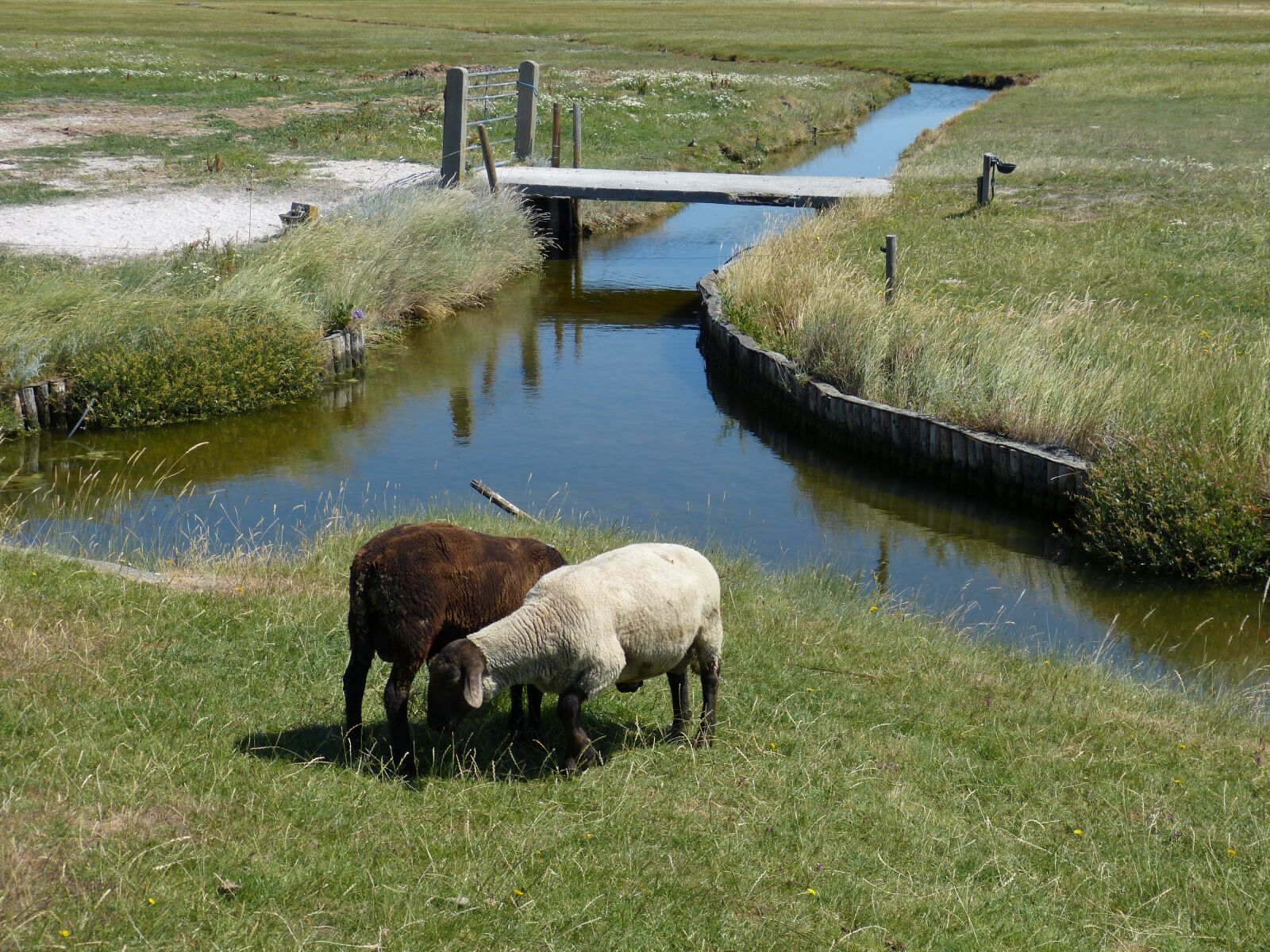 Panasonic Lumix DMC-FZ150 sample photo. Hallig, hooge, terp photography