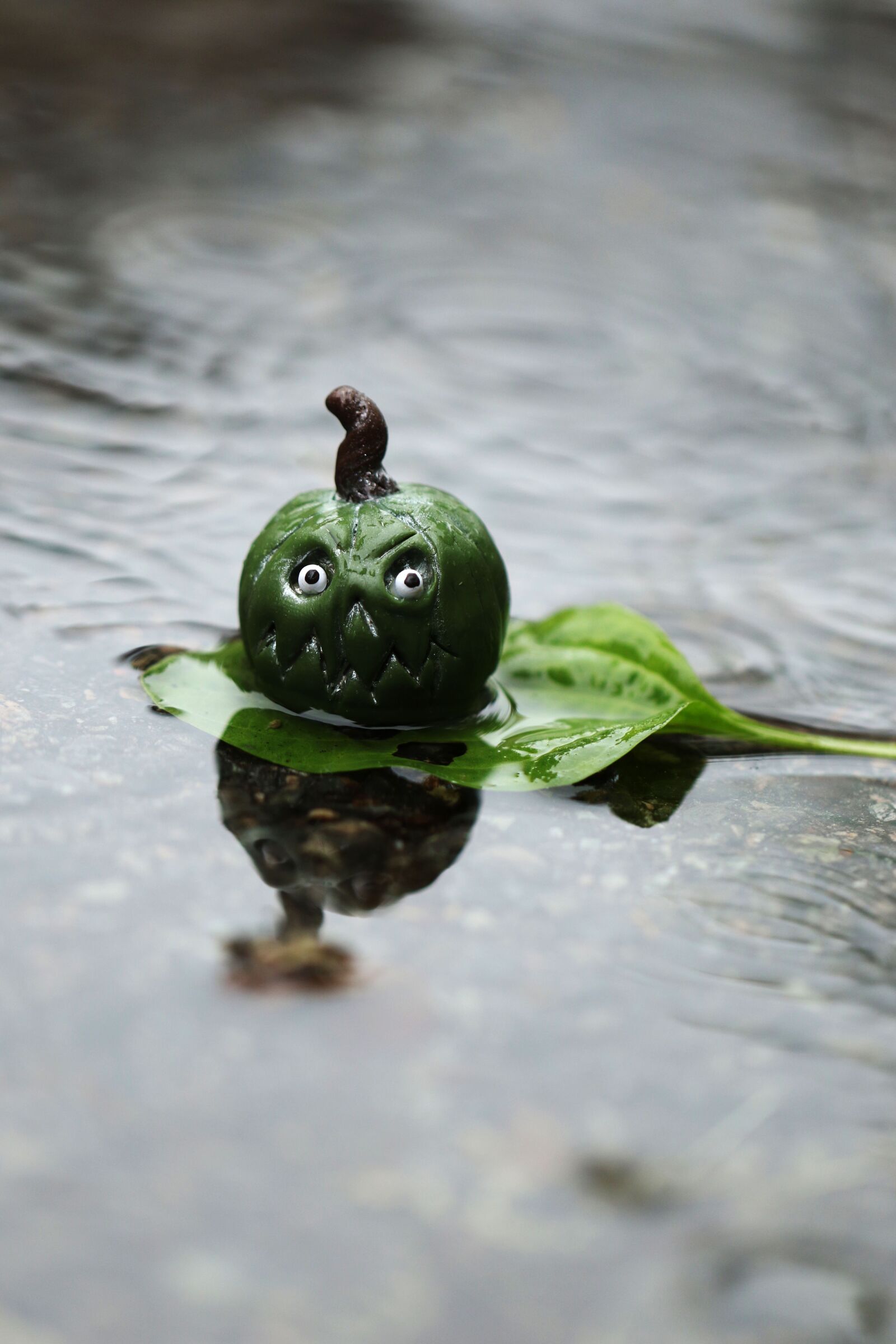 Canon EOS 7D Mark II sample photo. Water, leaf, figure photography