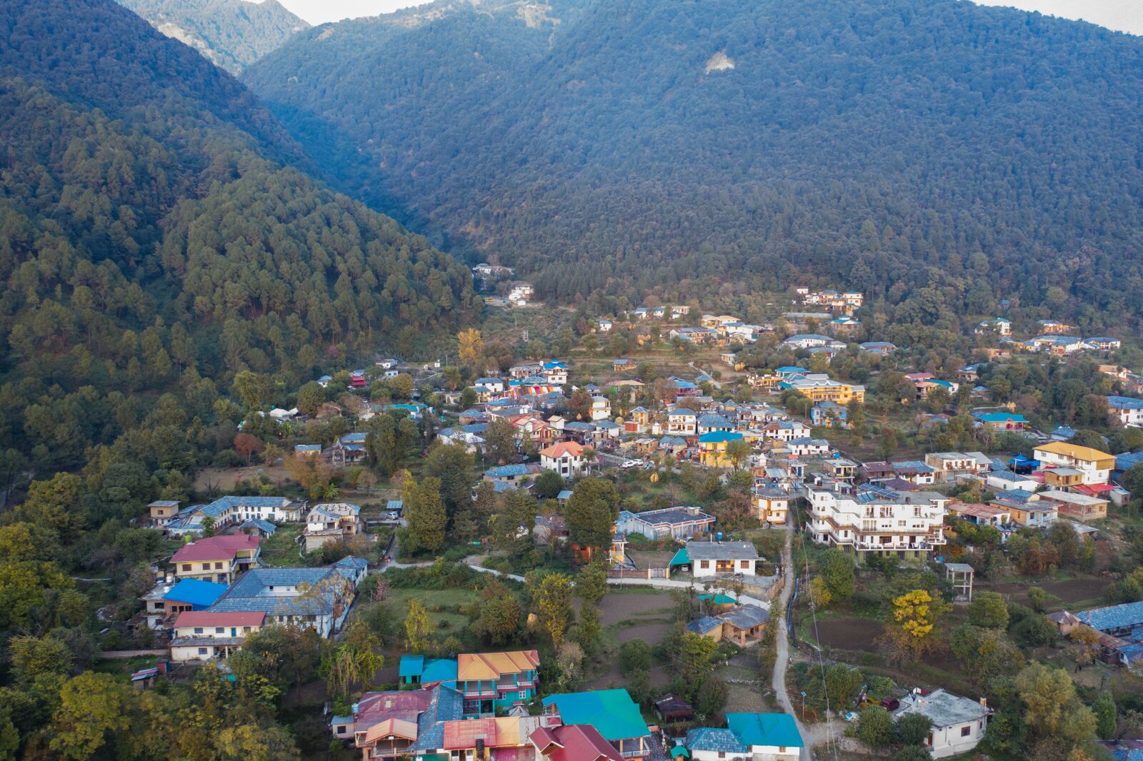 Hasselblad L1D-20c sample photo. Nature, himachal pradesh, homes photography