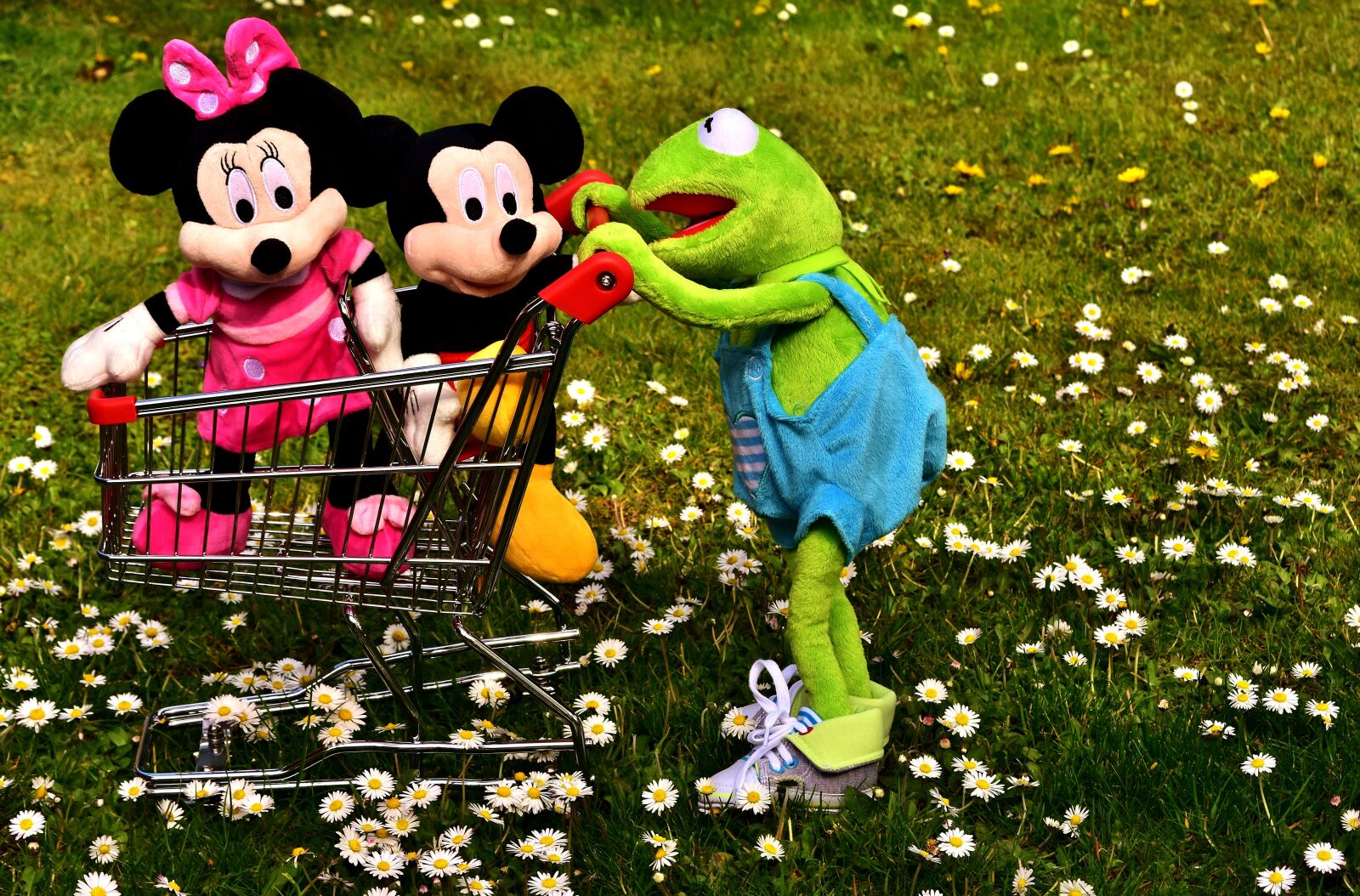 Nikon D7200 sample photo. Kermit, frog, micky mouse photography