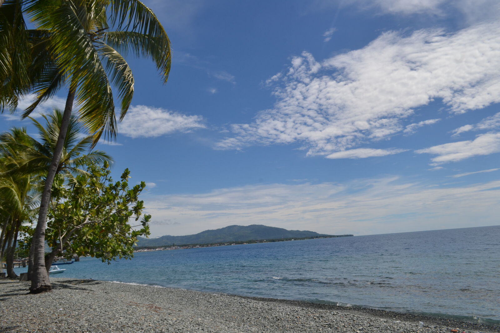 Nikon D3100 sample photo