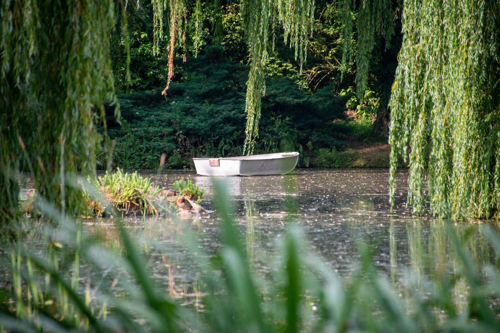 Nikon D800 sample photo. River, boat, trees photography
