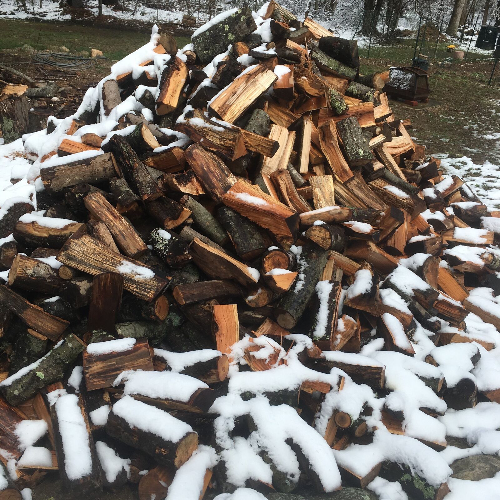 Apple iPhone 6s sample photo. Wood, winter, season photography