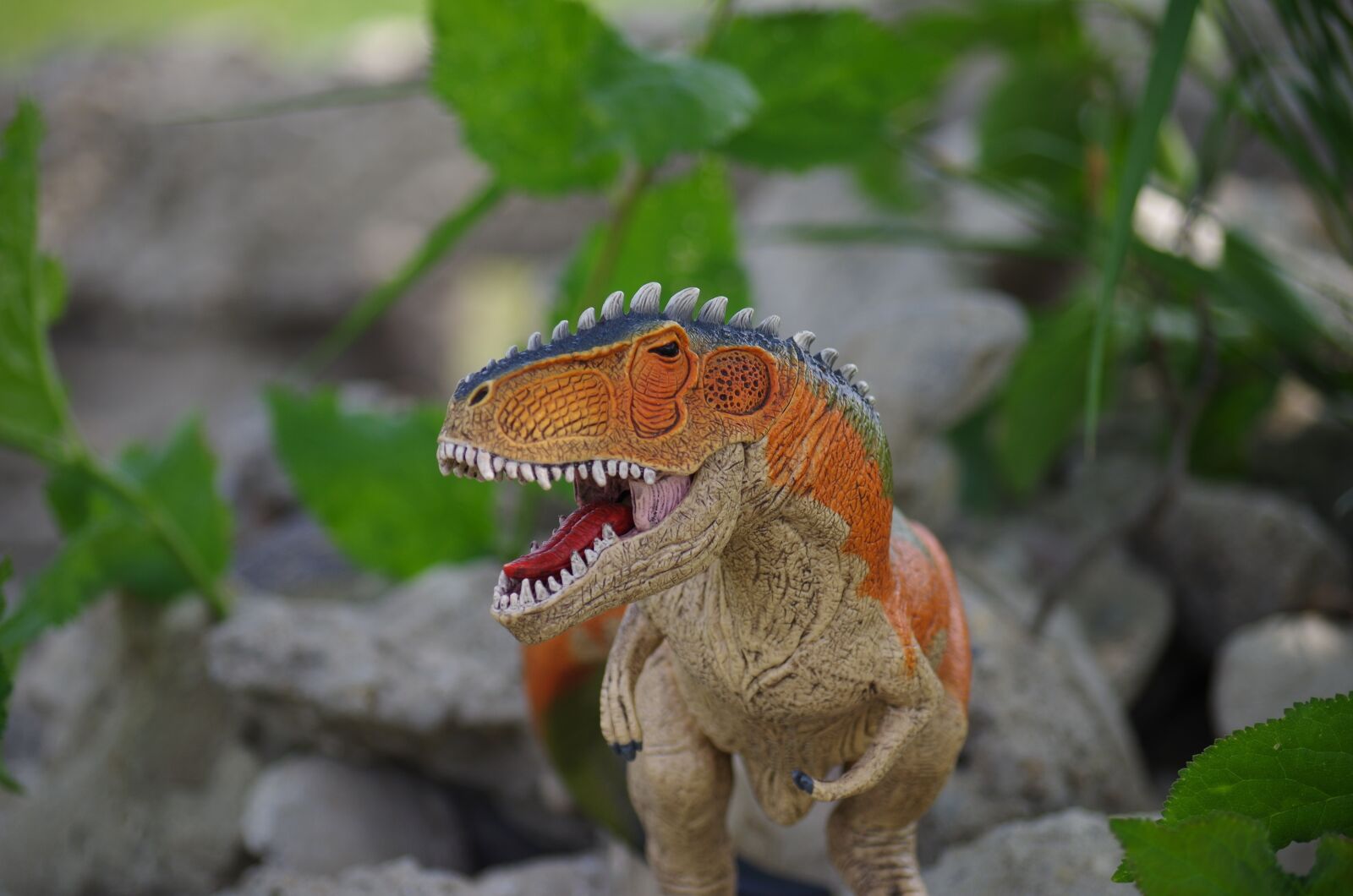 Pentax K-500 sample photo. Dinosaur, gigantosaurus, predator photography