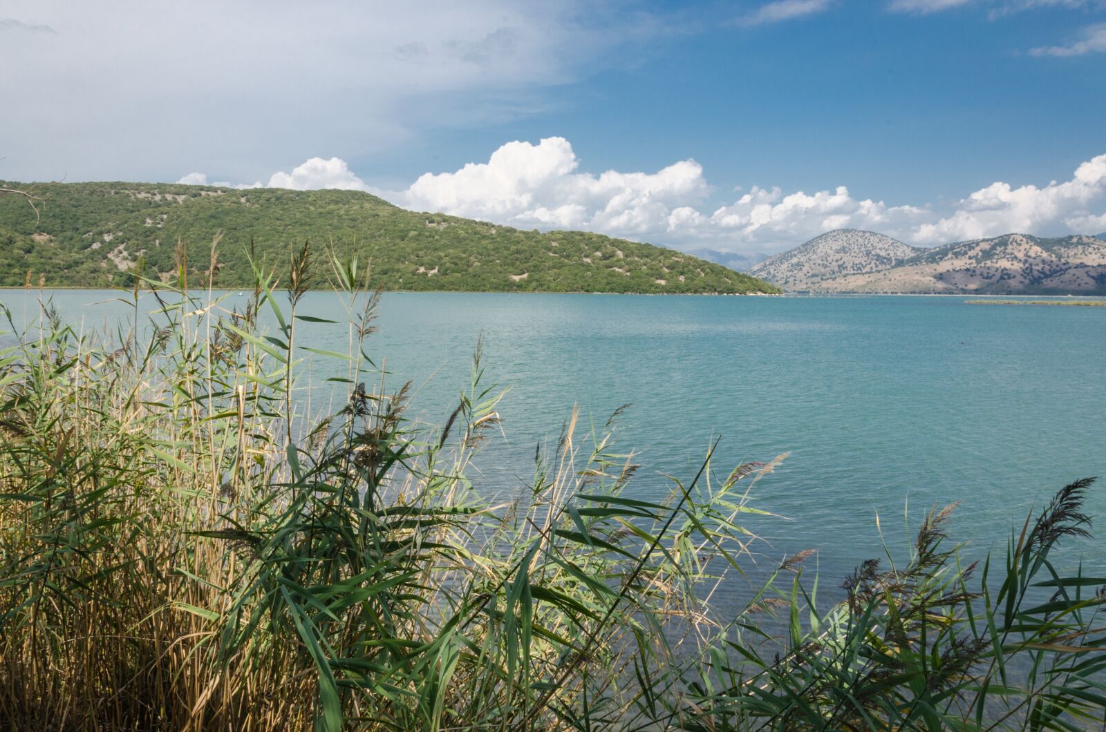 Nikon D5100 sample photo. Butrint, lake, butrintsee photography