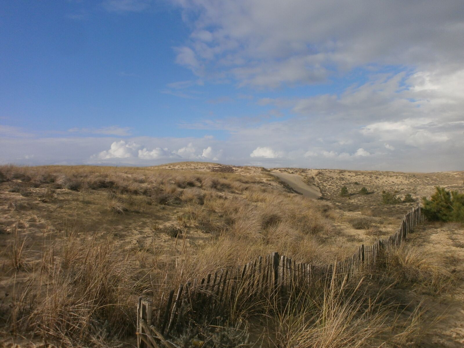 Olympus VG110,D700 sample photo. Beach, dunes, sand dunes photography