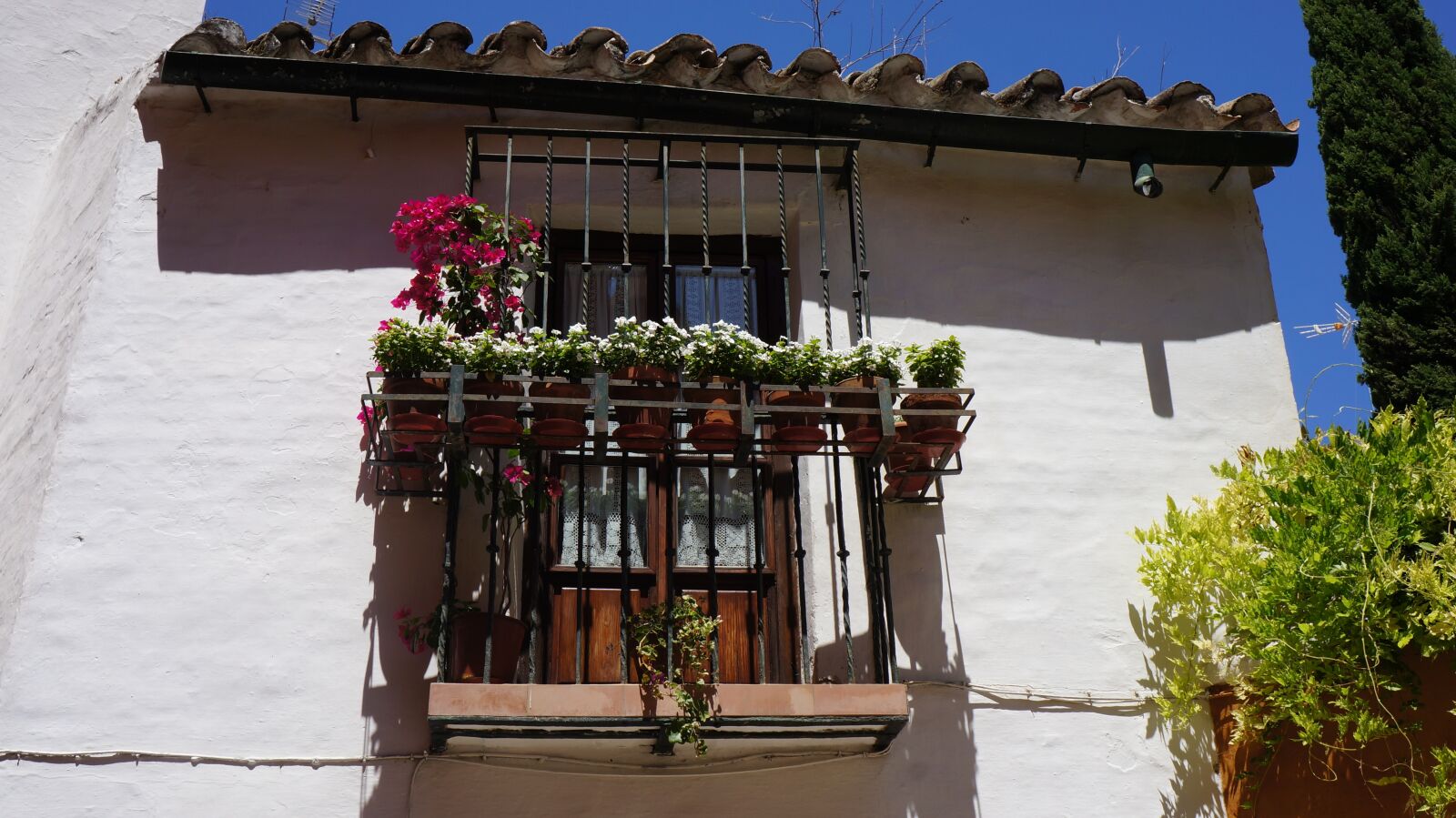 Sony Alpha NEX-5N sample photo. Balcony, flowers, shutters photography
