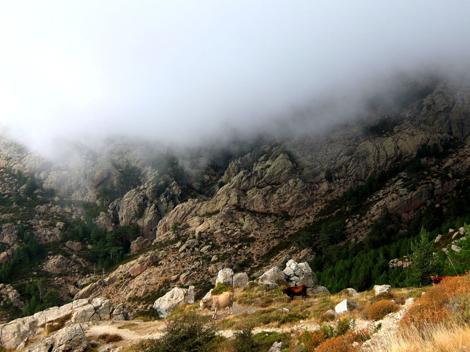 Fujifilm XF1 sample photo. Corsica, mountains, nature photography