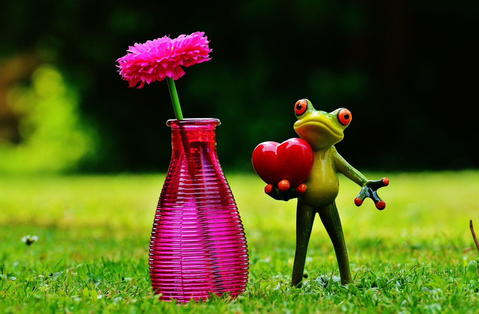 Nikon D3200 sample photo. Frog, love, valentine's day photography