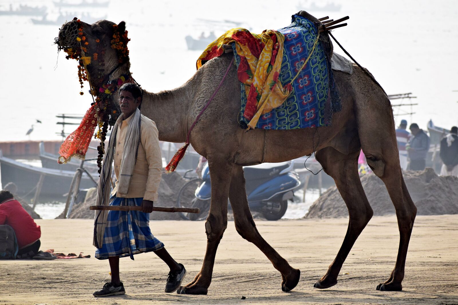 Nikon D3300 sample photo. Camel, animal, owner photography