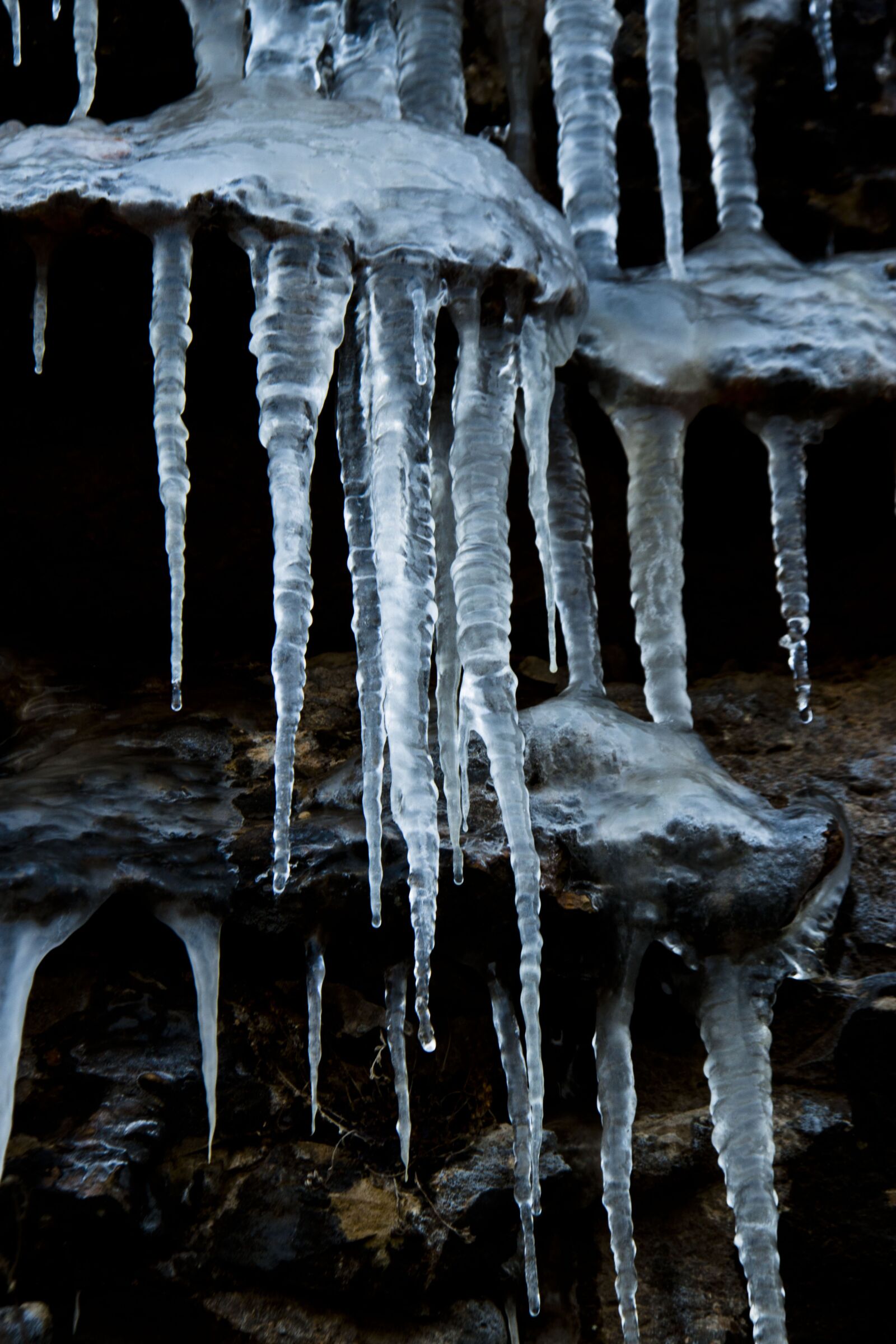 Canon EOS 500D (EOS Rebel T1i / EOS Kiss X3) sample photo. Icicle, cold, ice photography