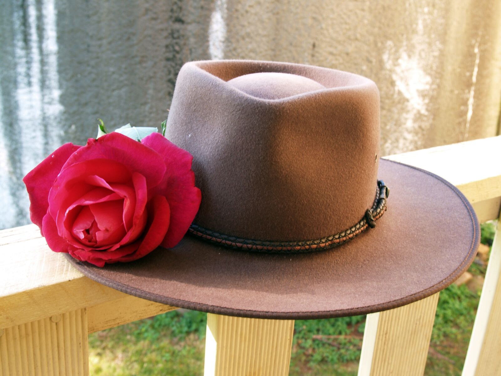 Olympus E-300 (EVOLT E-300) sample photo. Rose, red, hat photography