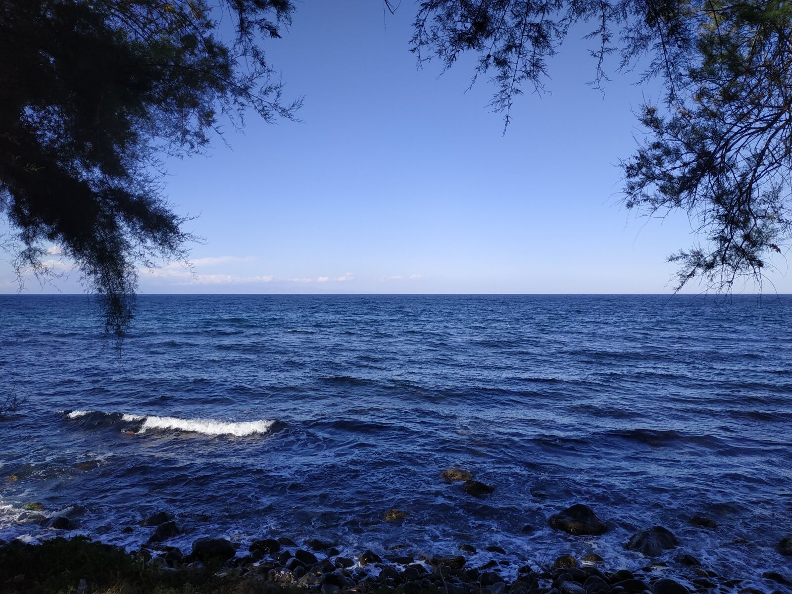 Xiaomi Redmi Note 5 sample photo. Ocean, sky, leaf photography