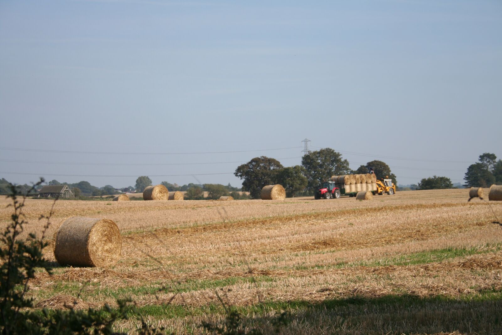 Canon EOS 350D (EOS Digital Rebel XT / EOS Kiss Digital N) sample photo. Cassel, harvest, france photography