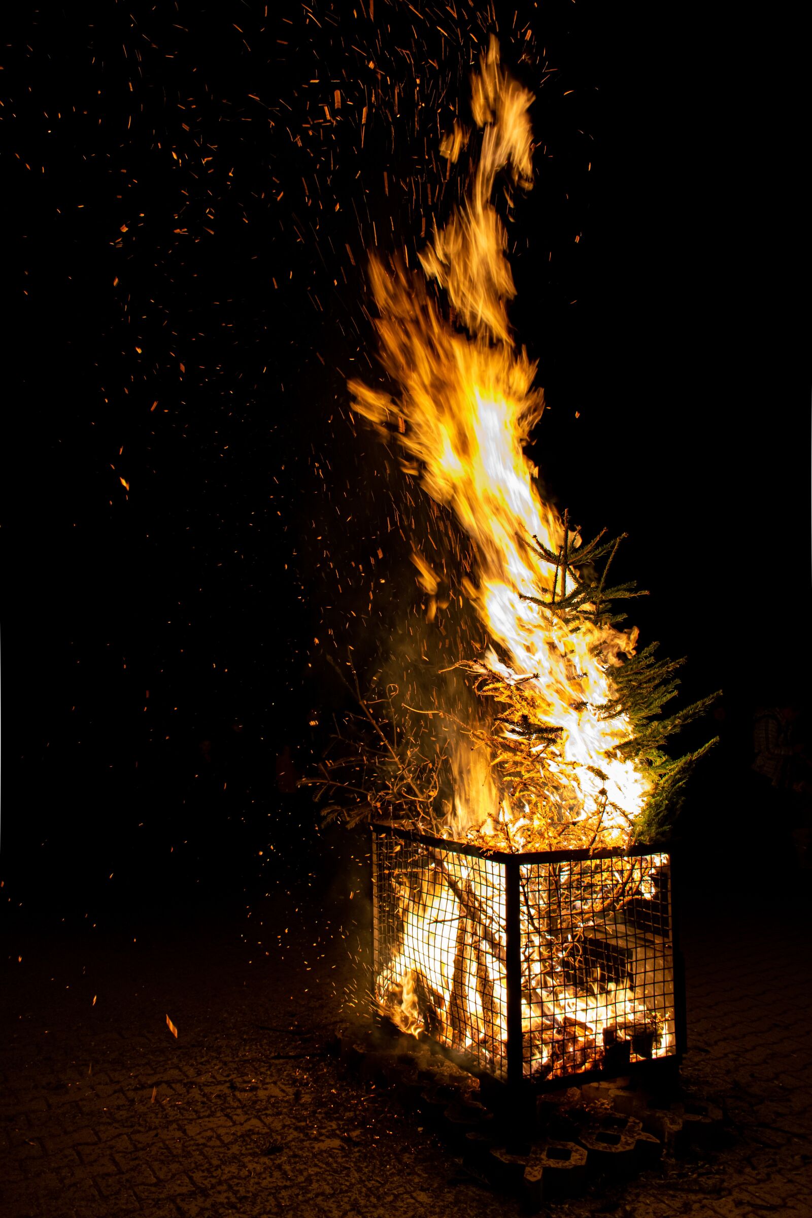 Nikon D5300 sample photo. Fire, flame, fir tree photography