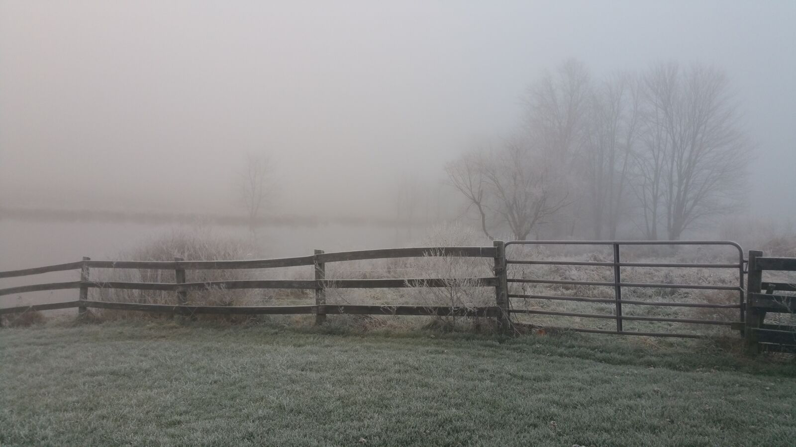 Samsung Galaxy Note4 sample photo. Farm, fence, fog photography