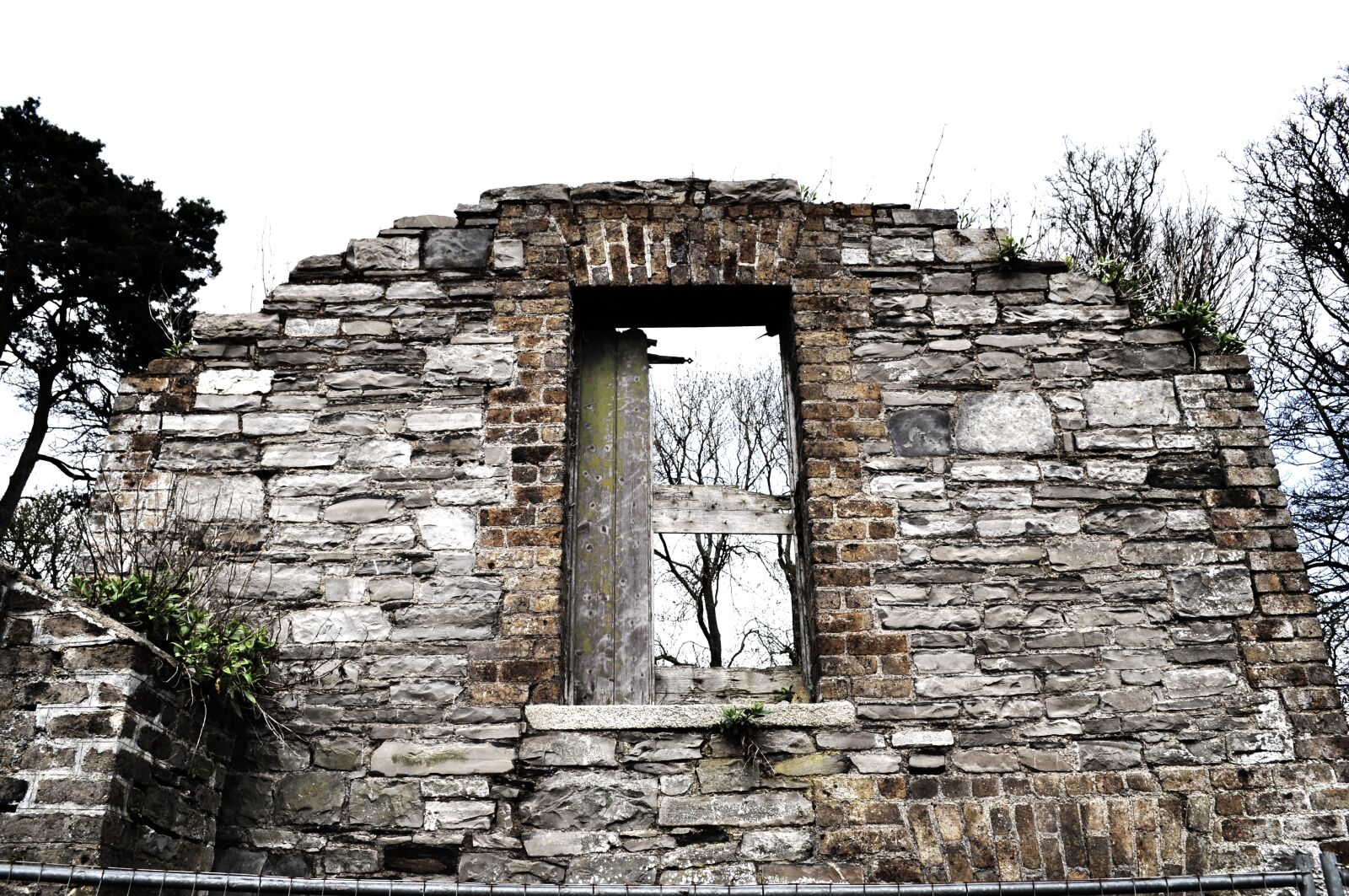 Nikon D90 sample photo. The ruins of the photography