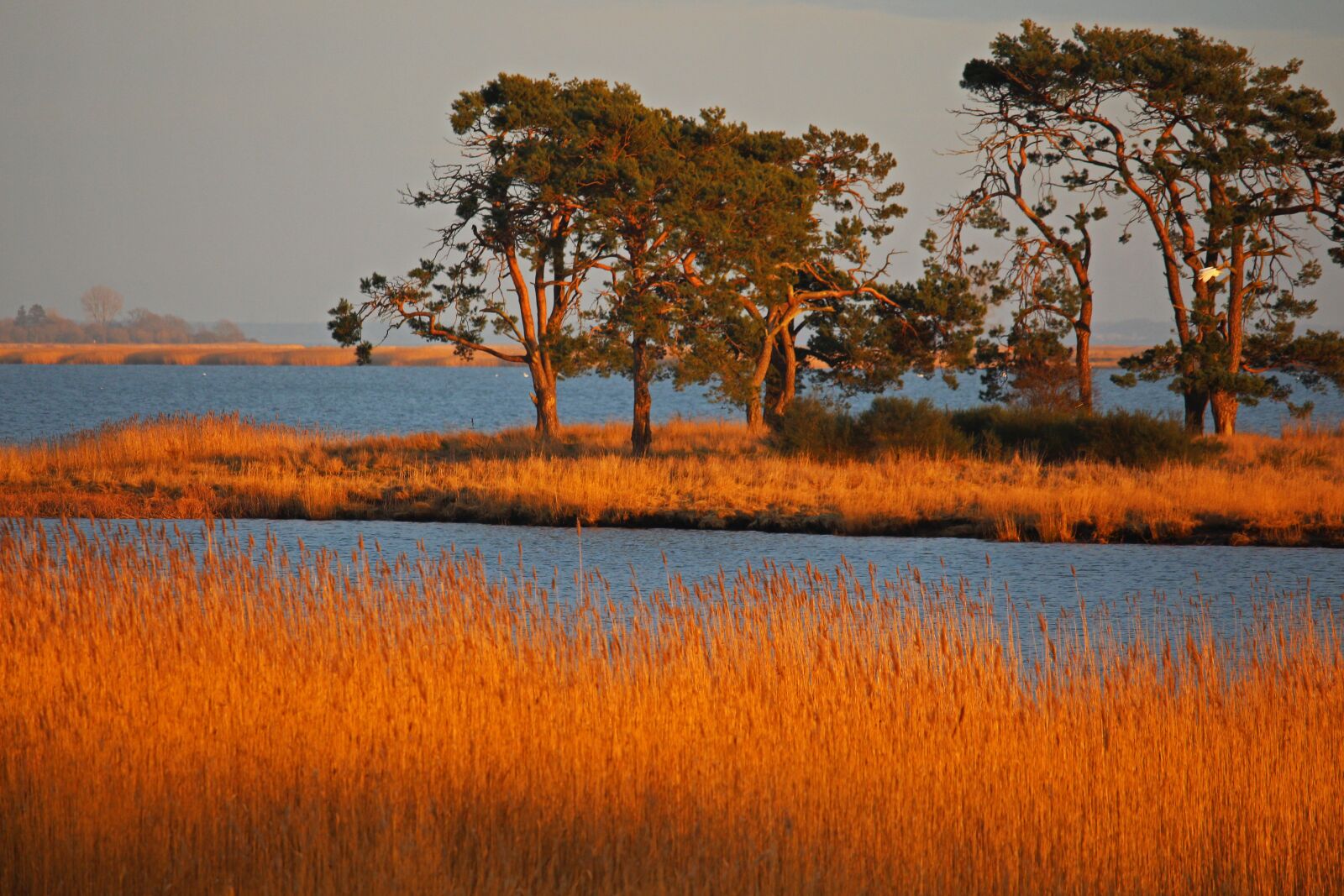 Canon EF-S 55-250mm F4-5.6 IS STM sample photo. Gristow, nature reserve, landscape photography