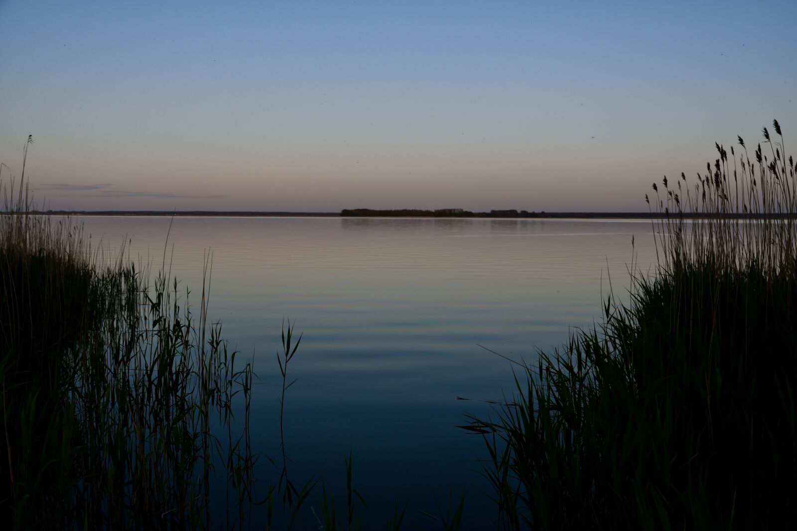 Nikon D7500 sample photo. Lake, bank, water photography