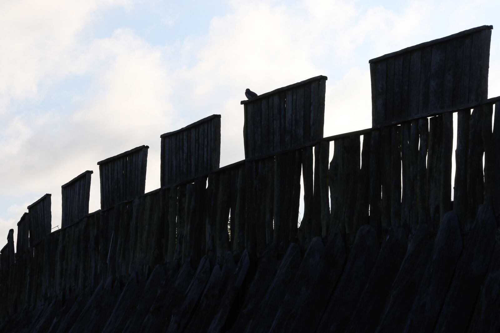 Canon EOS 7D Mark II sample photo. Bird, blue, sky, building photography