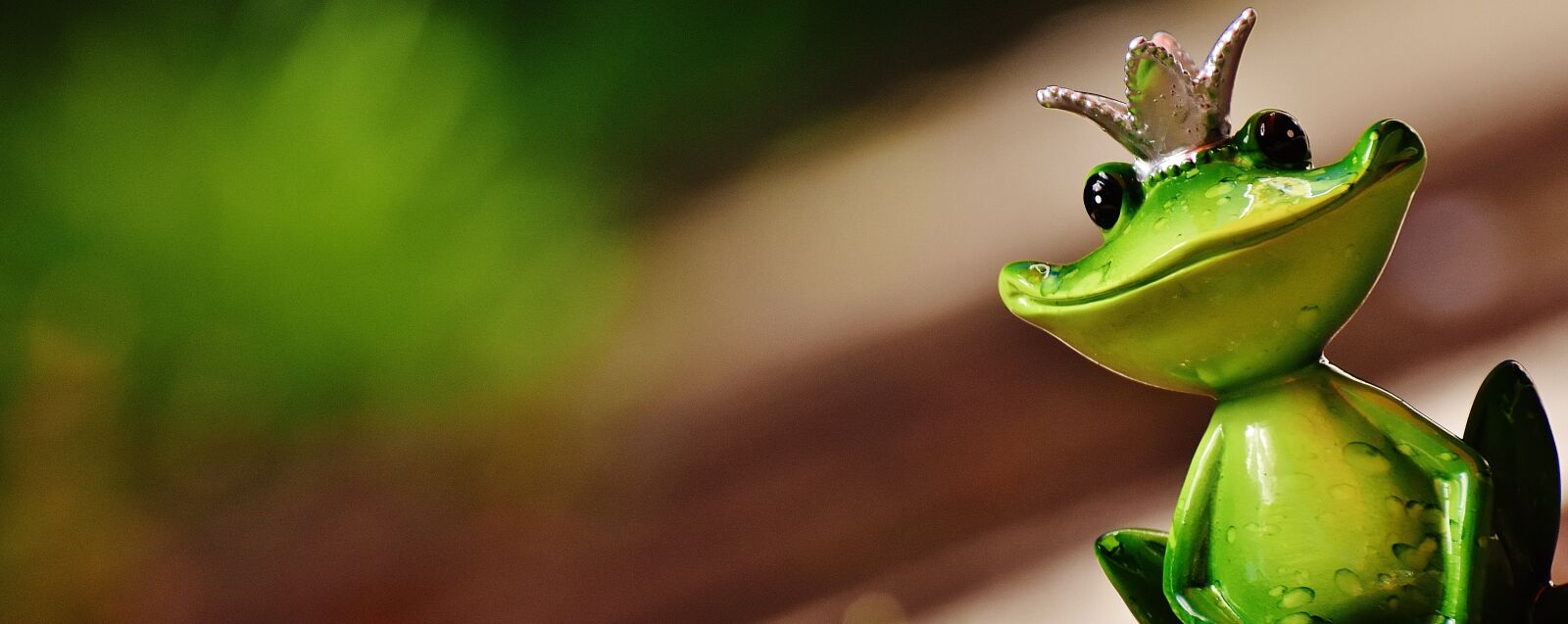 Nikon D7200 sample photo. Frog, frog prince, crown photography