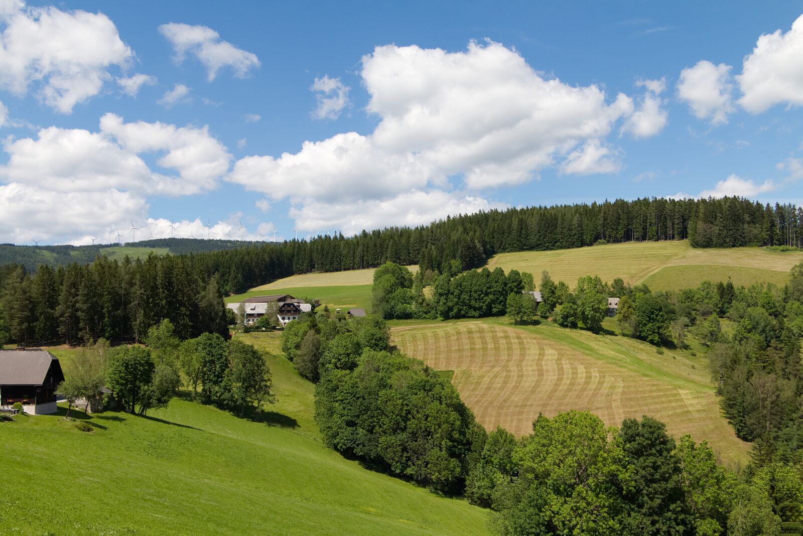 Canon EOS 70D sample photo. Styria, alpine, pinwheel photography