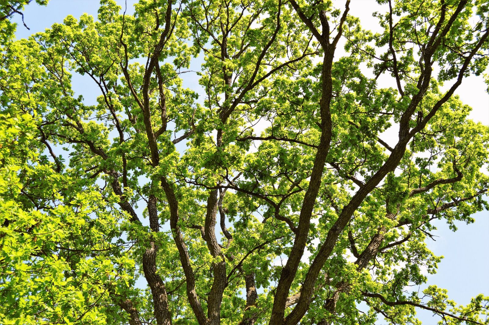 Nikon D3200 sample photo. Apladalen, värnamo, sweden photography
