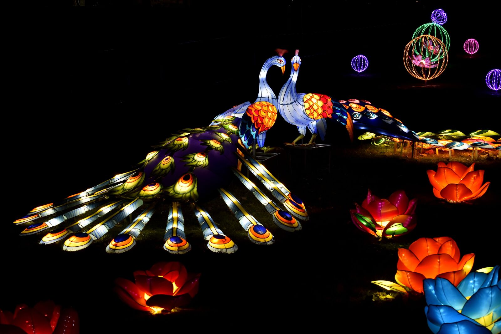 Nikon D5500 sample photo. Artwork, colorful, handmade, night photography