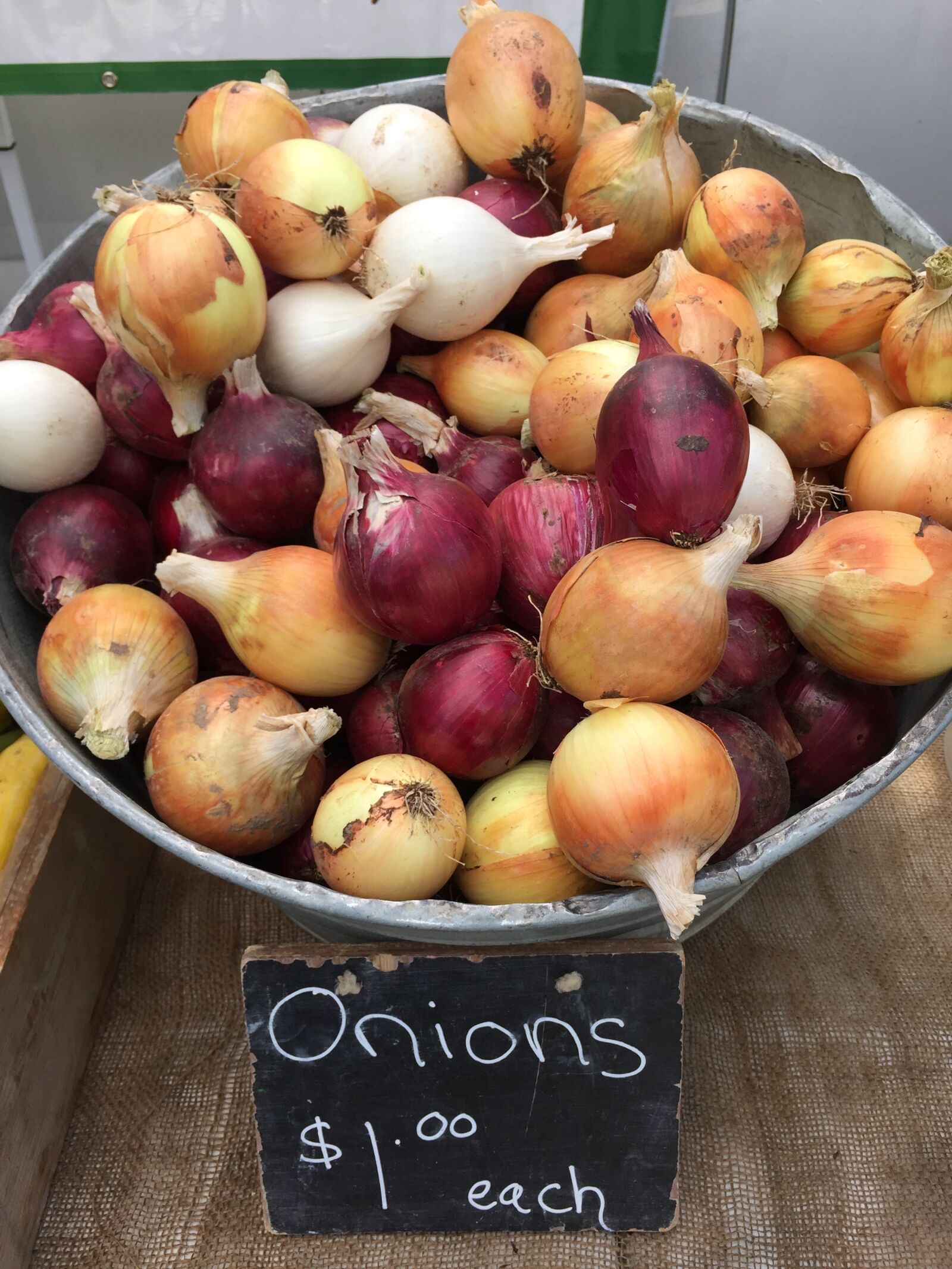 Apple iPhone 6 sample photo. Onions, yellow onions, white photography