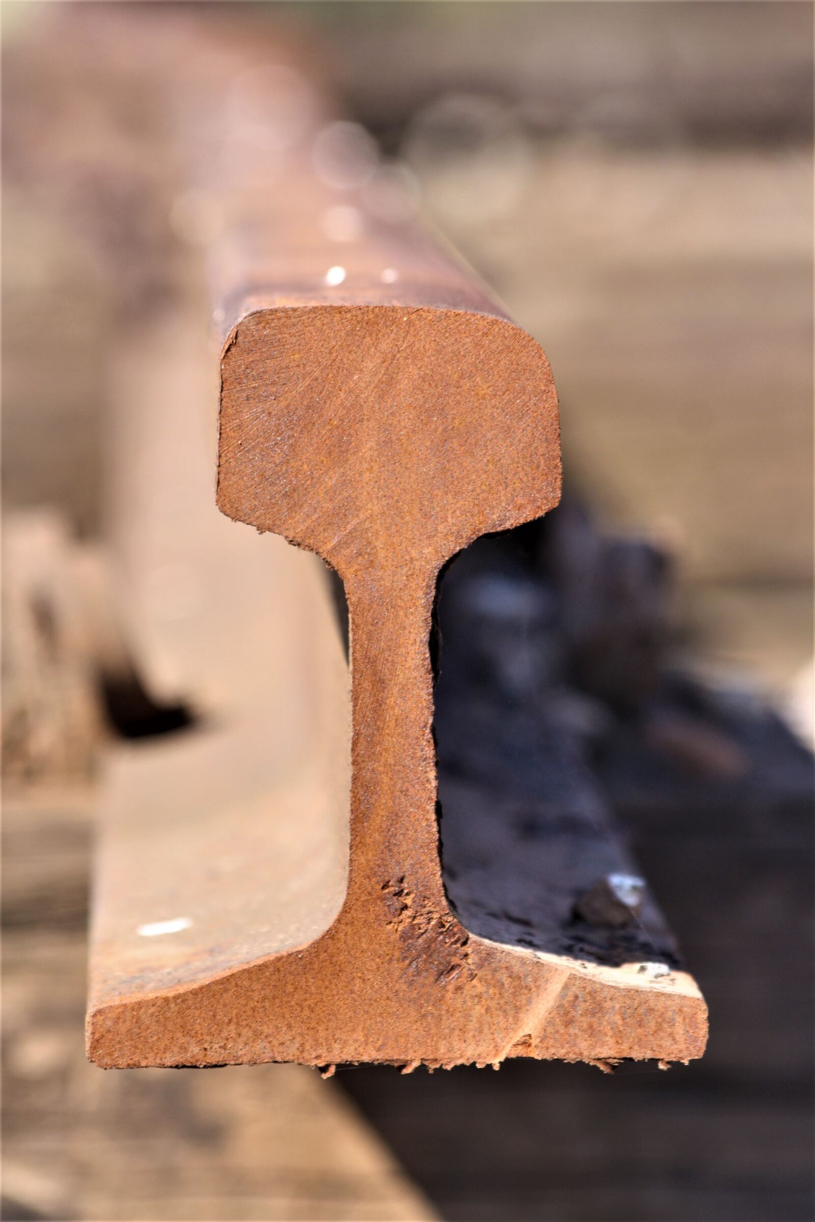 Canon EOS 1000D (EOS Digital Rebel XS / EOS Kiss F) sample photo. Track, sill, profile photography