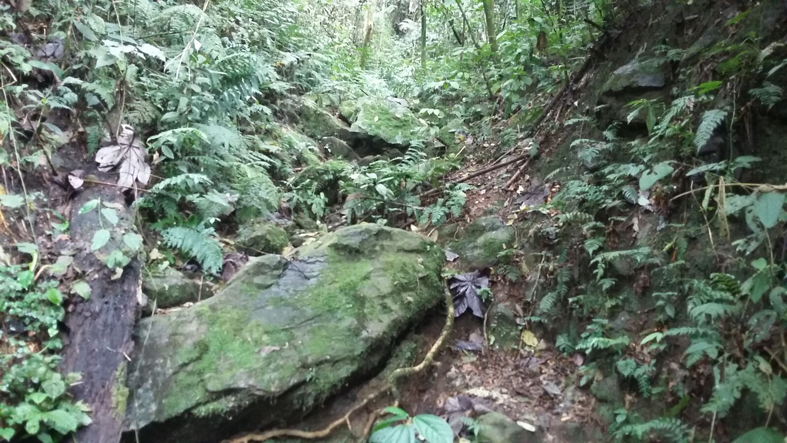 Samsung Galaxy Grand Prime sample photo. Nature, hiking, adventure photography