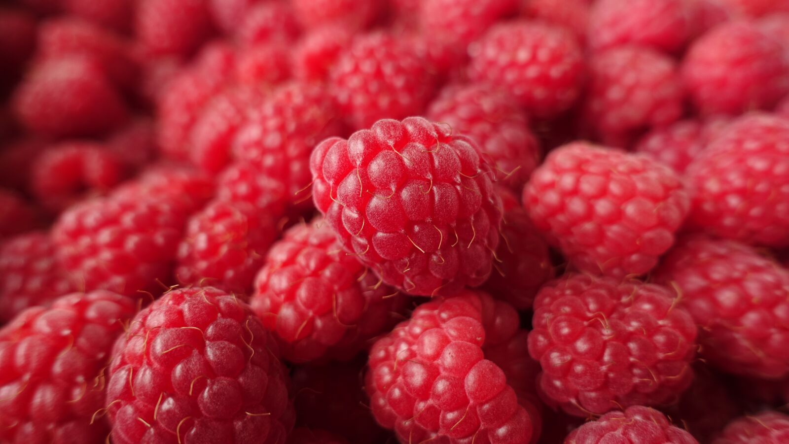 Sony DSC-RX100M5 sample photo. Raspberry, red, food photography