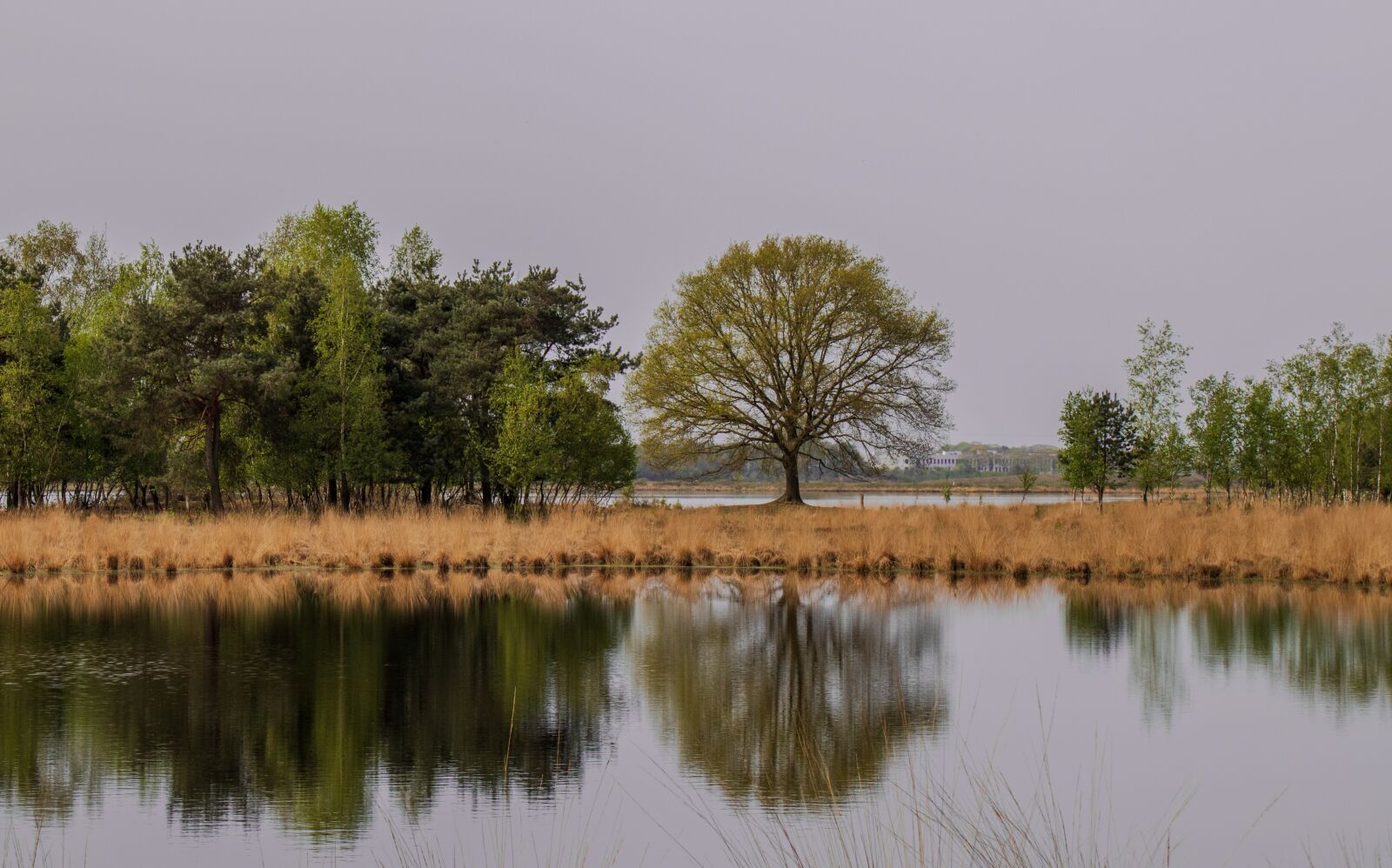 Canon EF-M 18-150mm F3.5-6.3 IS STM sample photo. Tree, reflection, landscape photography