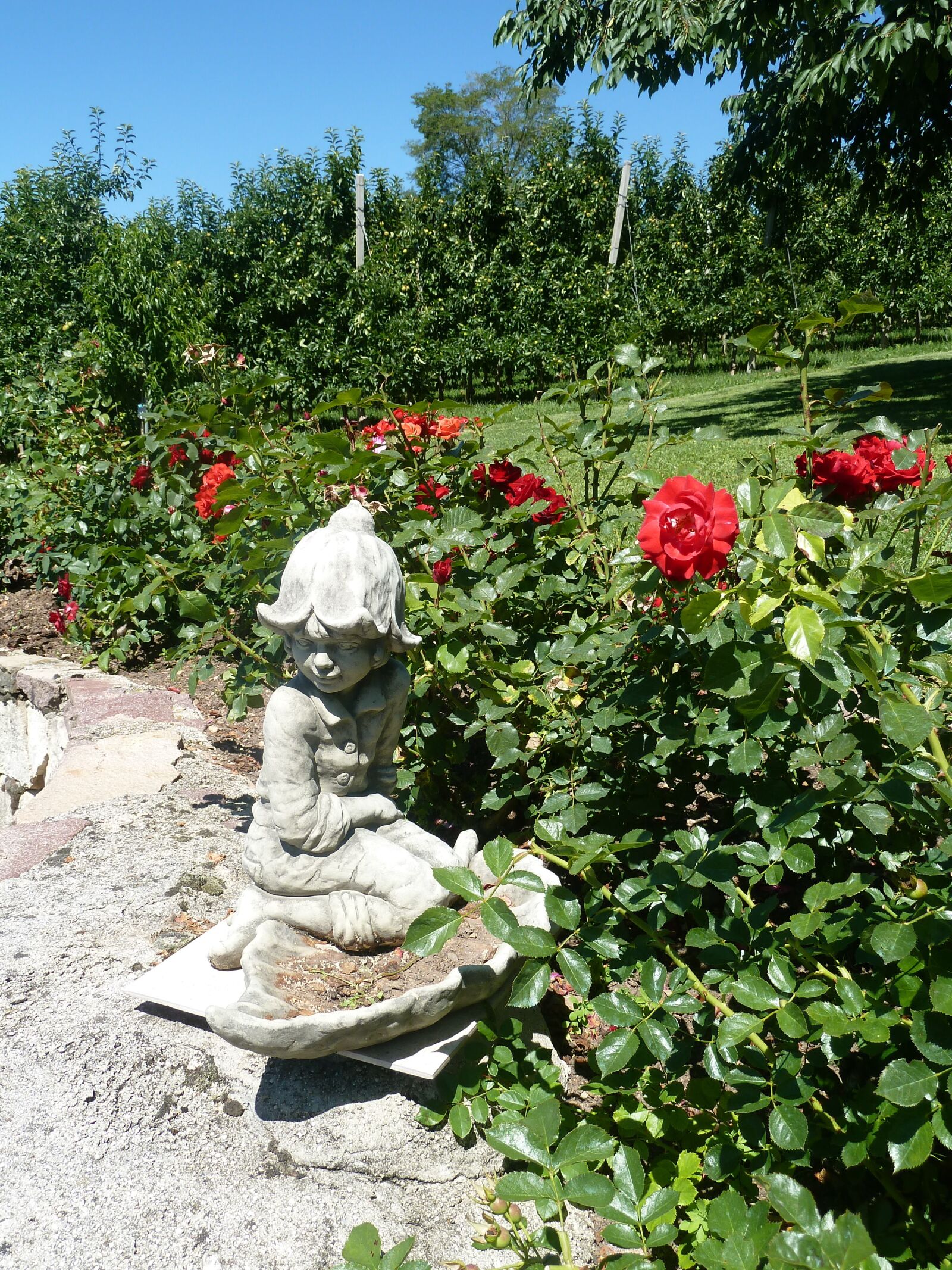 Panasonic Lumix DMC-ZS5 (Lumix DMC-TZ8) sample photo. Garden, stone figure, bed photography