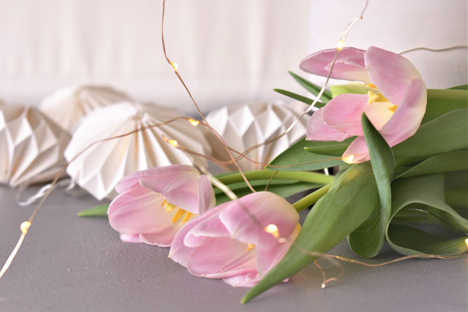 Nikon D5500 sample photo. Decoration, deco, table decorations photography