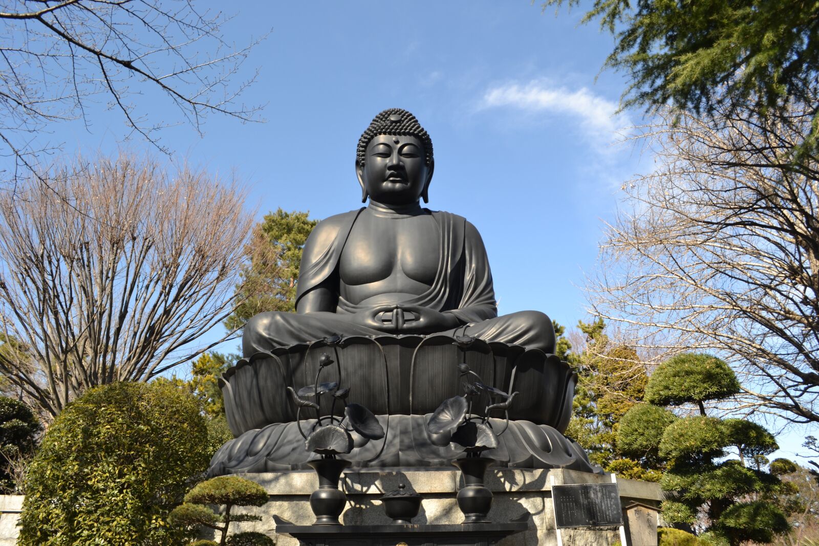Nikon D3100 sample photo. Jorenji temple, tokyo daibutsu photography