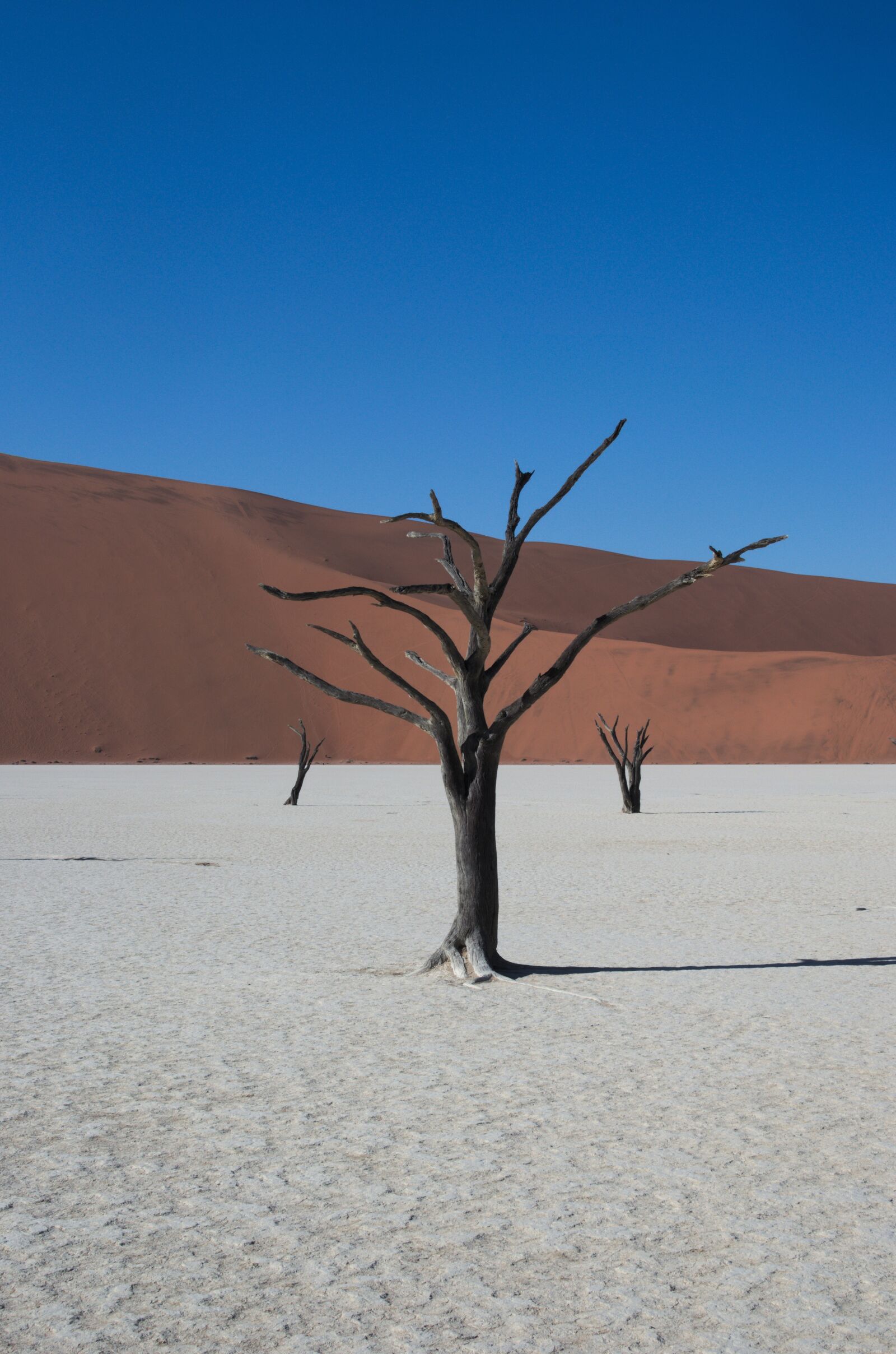 Nikon D5100 sample photo. Deadvlei, namibia, desert photography