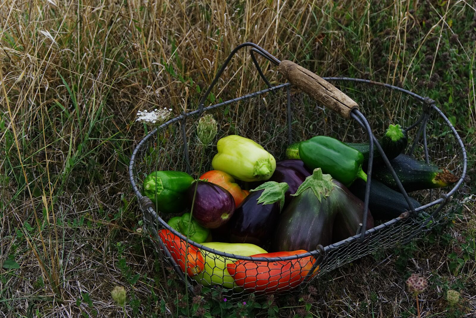 Sony a6000 sample photo. Vegetables, basket, organic vegetables photography